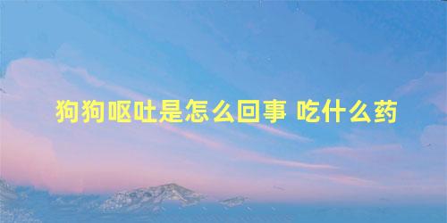 狗狗呕吐是怎么回事 吃什么药